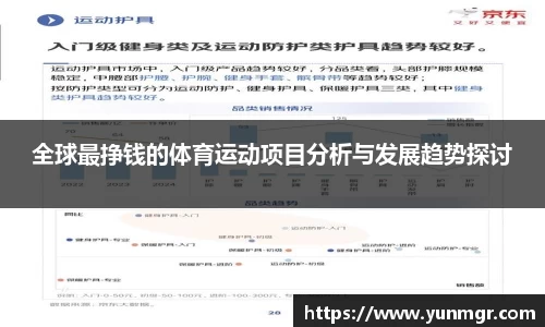 全球最挣钱的体育运动项目分析与发展趋势探讨